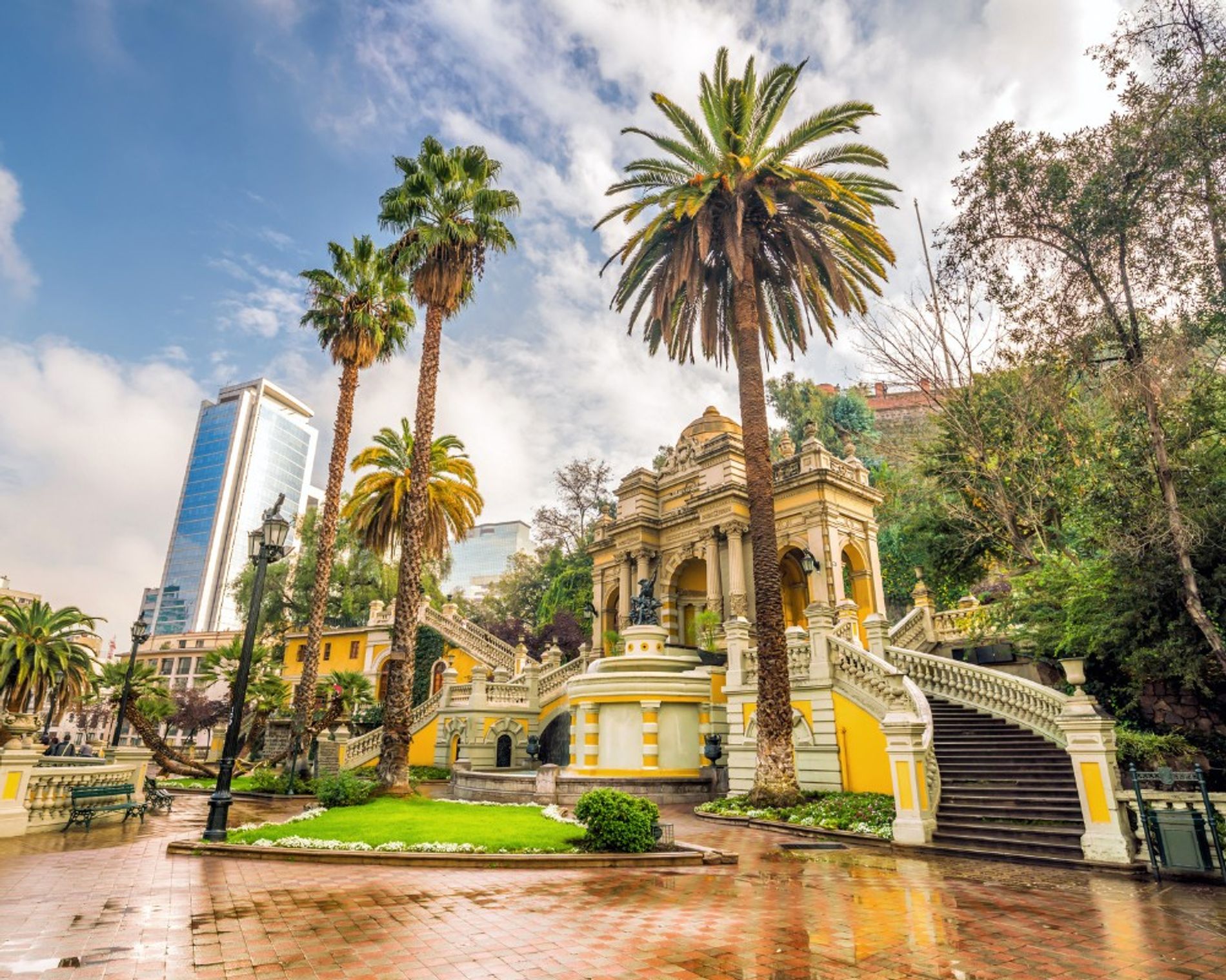 cile-gallery-sito (1).jpg